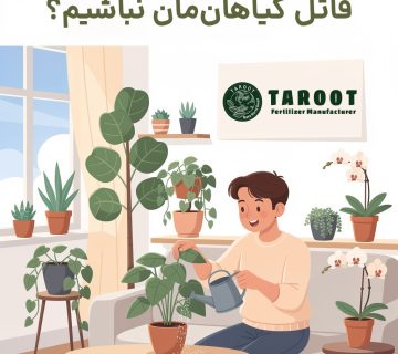 نگهداری گل های آپارتمانی؛ چطور قاتل گیاهان‌مان نباشیم؟