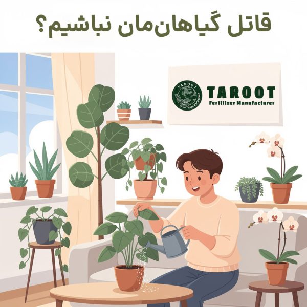 نگهداری گل های آپارتمانی؛ چطور قاتل گیاهان‌مان نباشیم؟